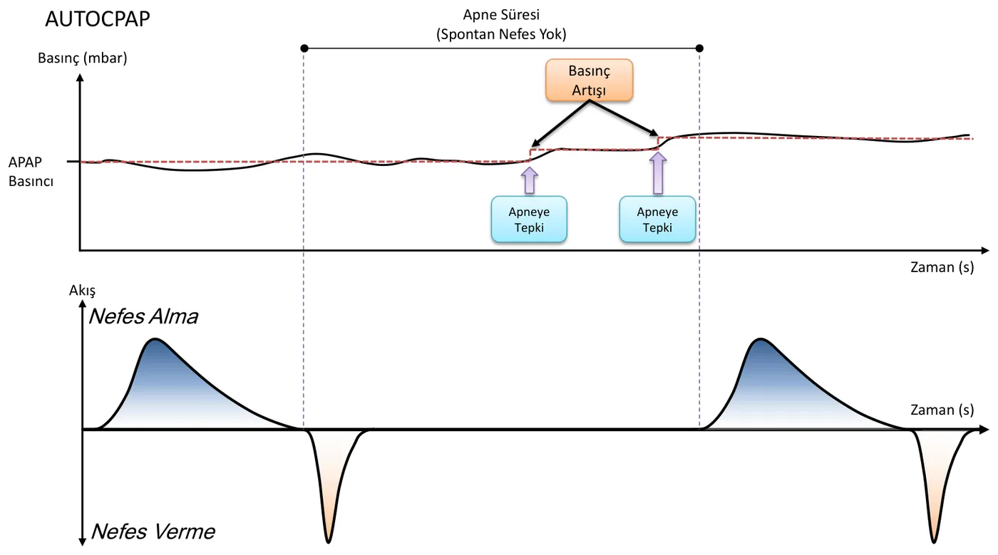 AUTOCPAP Dalga formu