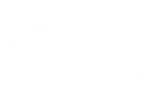 NEFES